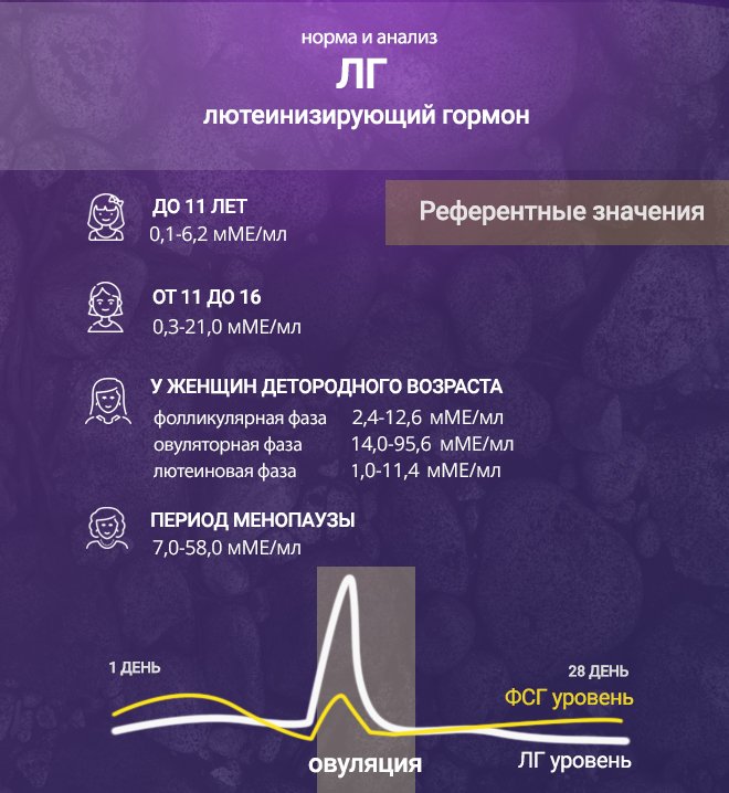 фсг норма у женщин по возрасту таблица